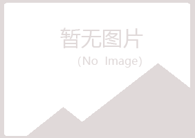 宁夏盼夏能源有限公司